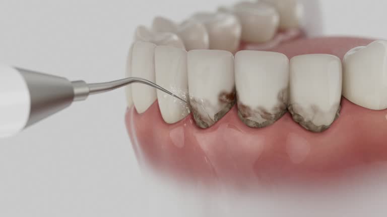 Reliable Dental contractor in Montgomery City, MO by Dentist Open Now